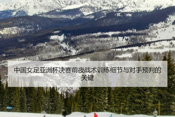 中国女足亚洲杯决赛前夜战术训练细节与对手预判的关键